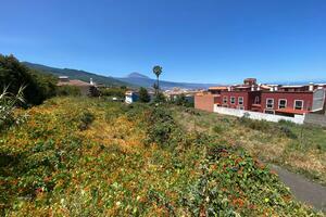 Land - La Matanza de Acentejo (0)