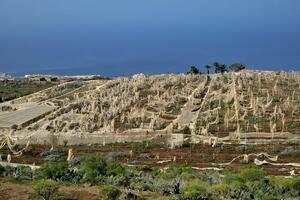 Terrain - Alcalá (0)