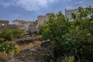 2 Bedroom House - Guía de Isora (3)