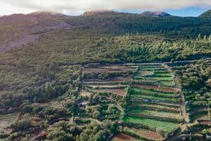 Terrain - El Tanque (2)