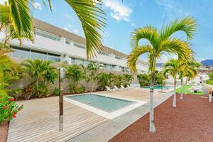 2 Bedroom Penthouse -  La Caleta - Caleta Palms (0)