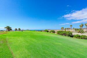 3 Bedroom Penthouse - Amarilla Golf - Palm Gardens (1)