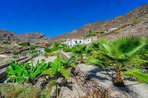 Villa de 5 chambres - Acantilados de Los Gigantes (3)