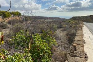 Land - Granadilla de Abona (1)