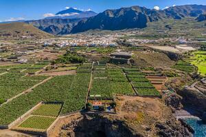 Podere di 6 camere sulla Prima linea - Buenavista del Norte (1)