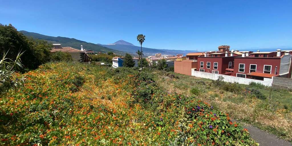 Land - La Matanza de Acentejo